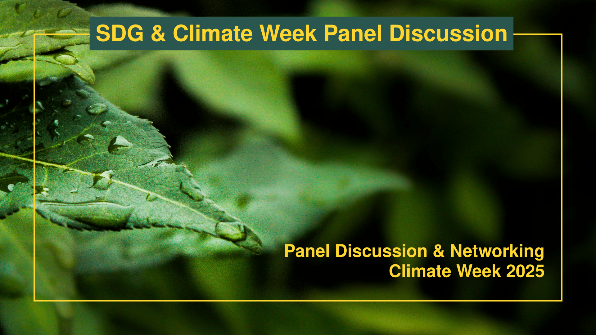Climate Week